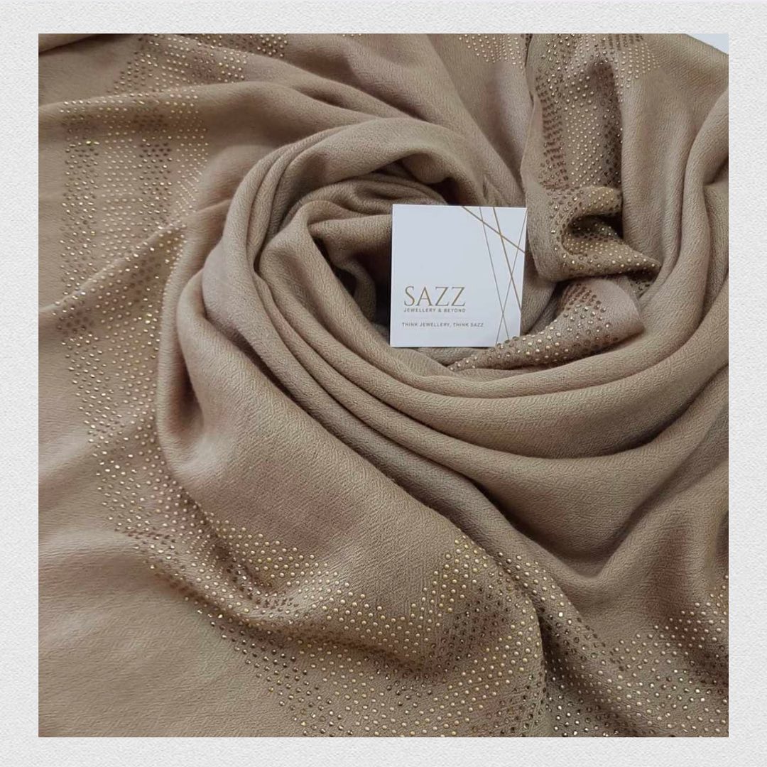 Taupe Beige Luxury Wrap with Shimmering Stone Work Border